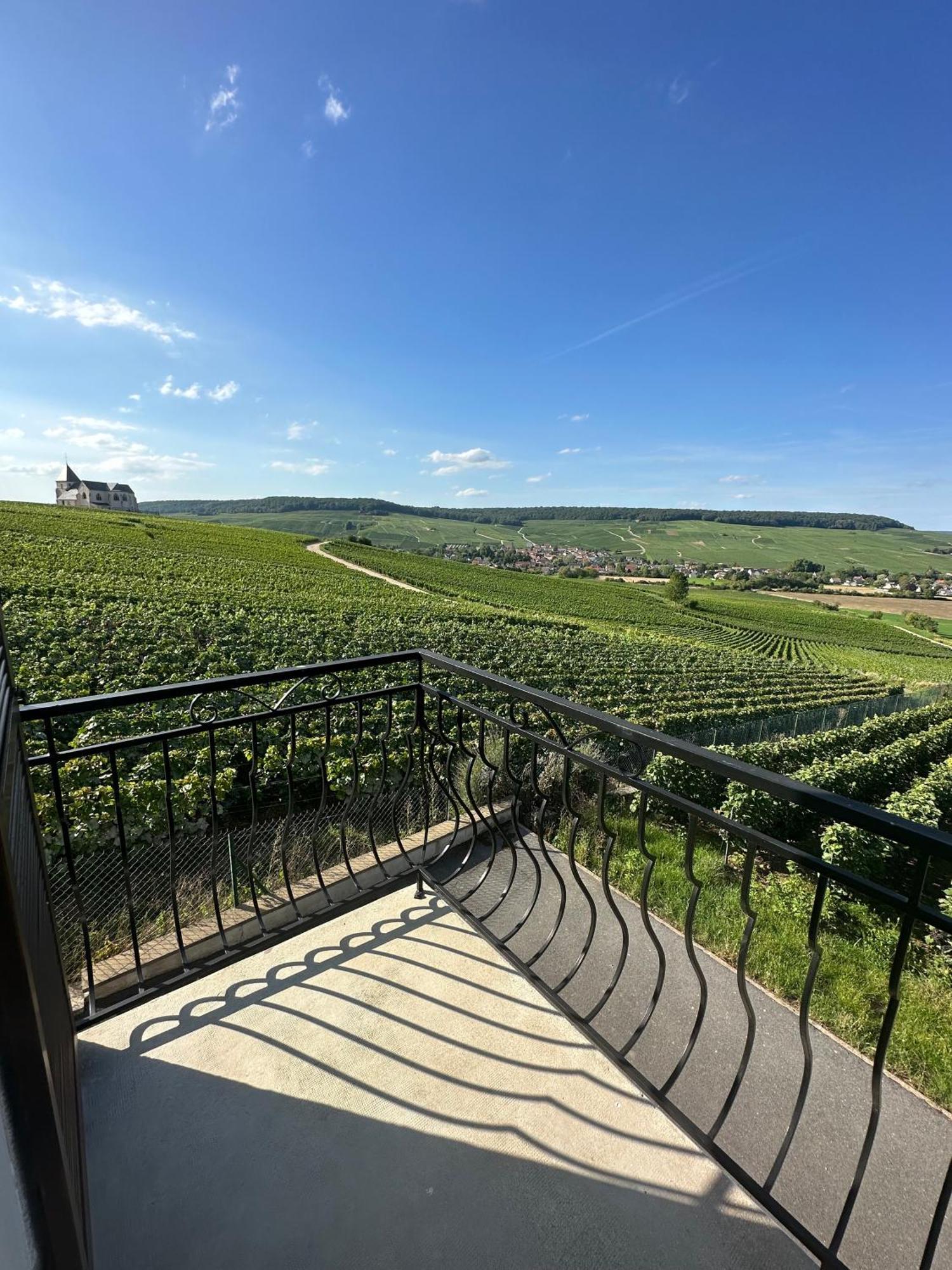 Au Coeur Du Terroir Champenois Villa Chavot-Courcourt Exterior photo
