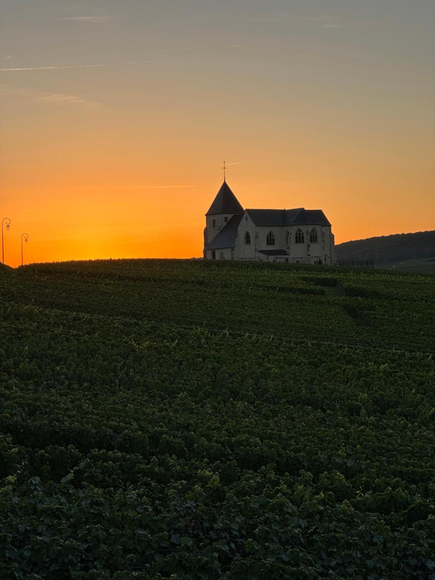 Au Coeur Du Terroir Champenois Villa Chavot-Courcourt Exterior photo